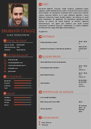 Sınıf Öğretmeni Cv Örnekleri cv indir